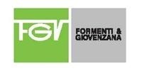 FGV