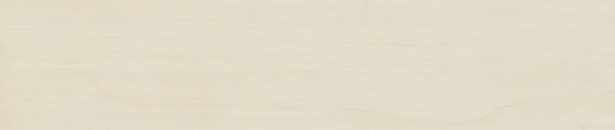 ABSB 6248/OHNE/LPE05 R27021 VV 23/0,8 ABSB 6248/OHNE/LPE05 R27021 VV 23/0,8