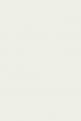 MDFL 101 BS Bílá front 2800/2070/10