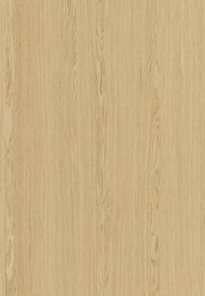 ABSB SHINNOKI 4.0 Ivory Oak 24/1 ABSB SHINNOKI 4.0 Ivory Oak 24/1