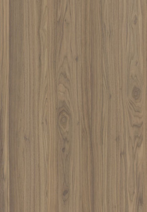 ABSB SHINNOKI 4.0 Frozen Walnut 24/1 ABSB SHINNOKI 4.0 Frozen Walnut 24/1