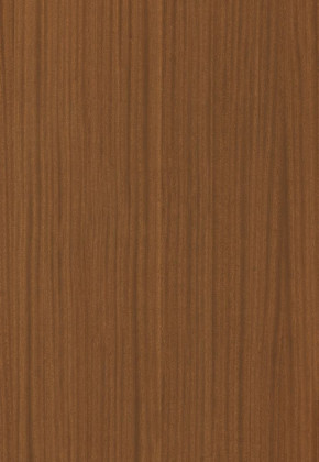 ABSB SHINNOKI 4.0 Terra Sapele 48/1