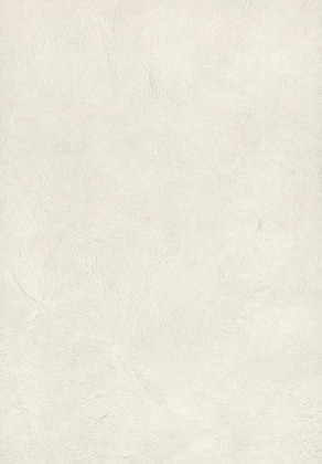 Blat kuchenny roboczy F649 ST16 Łupek iłowy biały 4100/920/38