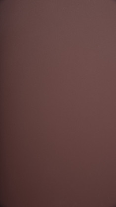 DTL FENIX 0751 NTM Rosso Jaipur 1str. 3050/1300/19