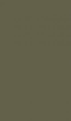 DTDL U645 ST9 Zielony agawowy 2800/2070/18