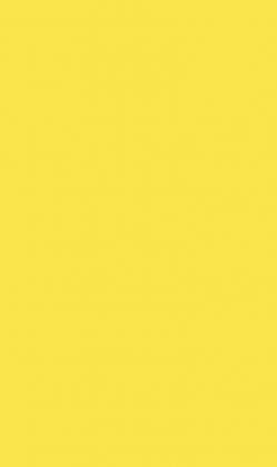 DTDL U131 ST9 Żółty cytrusowy 2800/2070/18