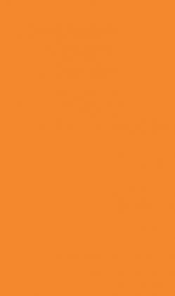 DTDL U332 ST9 Pomarańcza 2800/2070/18