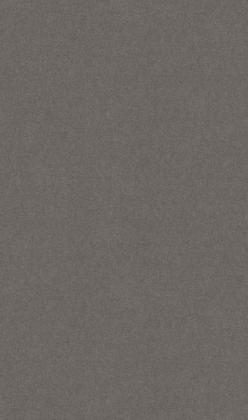 DTDL F635 ST76 Płótno antracytowe 2800/2070/18