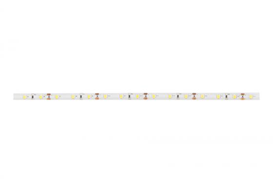 StrongLumio taśma LED 12W/m 12V (60 LED/m) 8mm, zimna biała IP65