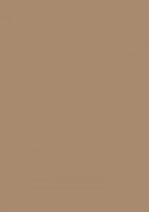 PerfectSense Premium MDF U250 PM/ST9 Karmelowo beżowy 2800/2070/19