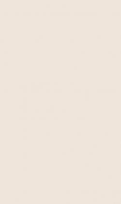 LAM U220 ST9 Delikatny beżowy 2800/1310/0,8