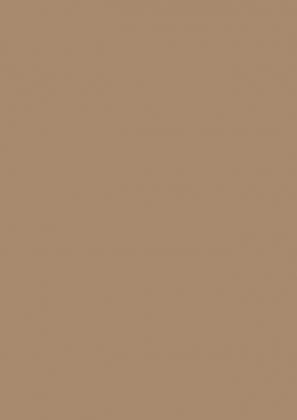 LAM U250 ST9 Karmelowo beżowy 2800/1310/0,8