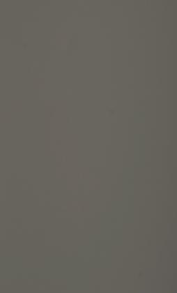 MDFL HM04 PI/0E PIOMBO 3050/1300/19