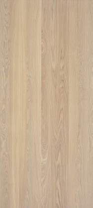 SHINNOKI Milk Oak A/- 2790/1240/19