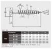 StrongFix Wkręt PZ 3,5x16, łeb półokrągły, ocynk biały PZ2