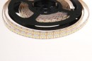 Taśma TL-LED 24W/m 12V biała zimna