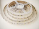 TL-LED taśma 14,4W/m 24V RGB+CW IP20