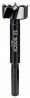 BOSCH 2608577009 Forstnerův vrták 25 mm