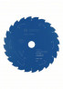 BOSCH 2608644522 Pilový kotouč Expert for Wood pro AKU pily 250×2,1/1,6×30mm, 24
