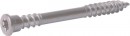 TK-RAPI-TEC Teraso Top 5,5x60mm T25 stal nierdzewna