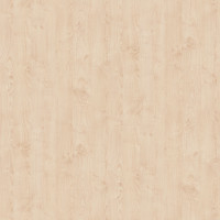 DTDL R41008 ML Dzika Grusza Jasna 2800/2100/18