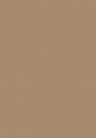 PerfectSense Premium MDF U250 PM/ST9 Karmelowo beżowy 2800/2070/19