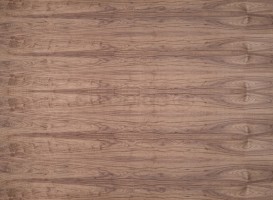 DTDD Ořech am. standard A/B 2800/2070/19