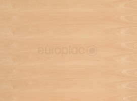 MDFD Buk pařený standar A/B 2800/2070/4